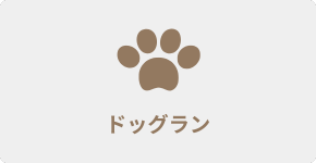 ドッグラン