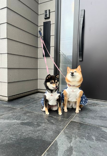 リードフック