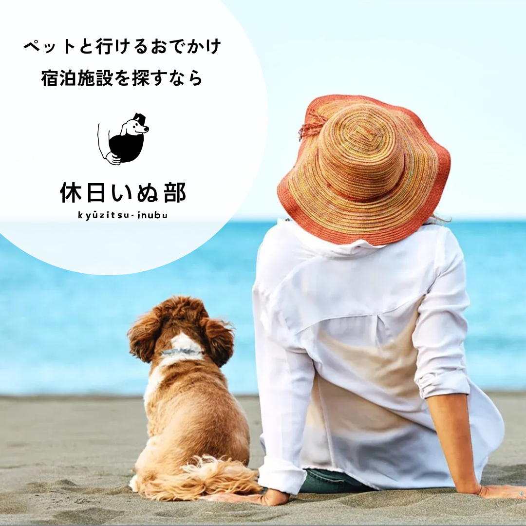 休日いぬ部